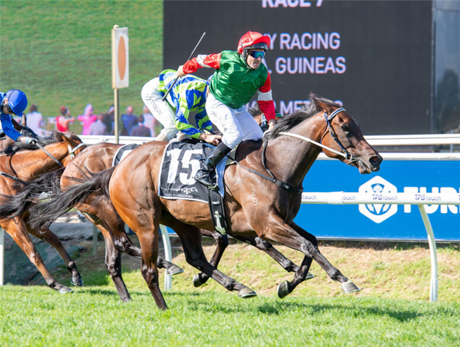 The 2024 Goodwood Handicap