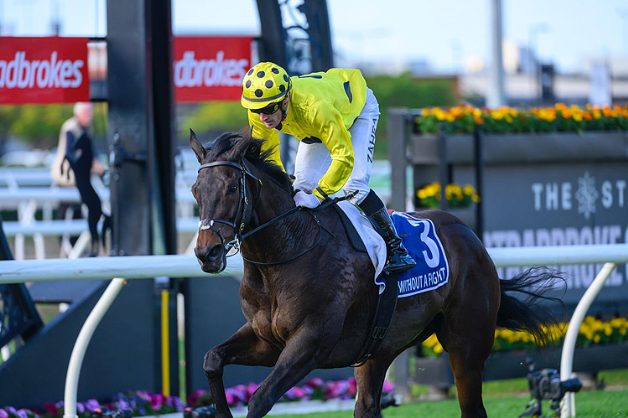 Massive interest this weekend on a G1 day at Caulfield