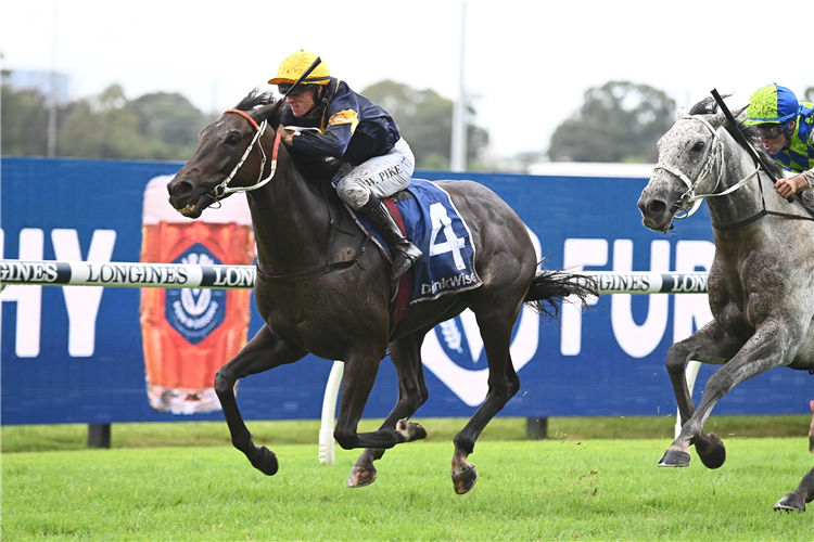 Country trainer takes on city slickers in Friday’s Port Macquarie Cup (Taree)