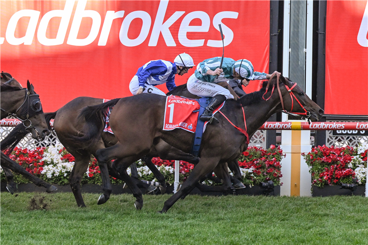 Hong Kong star claims Cox Plate