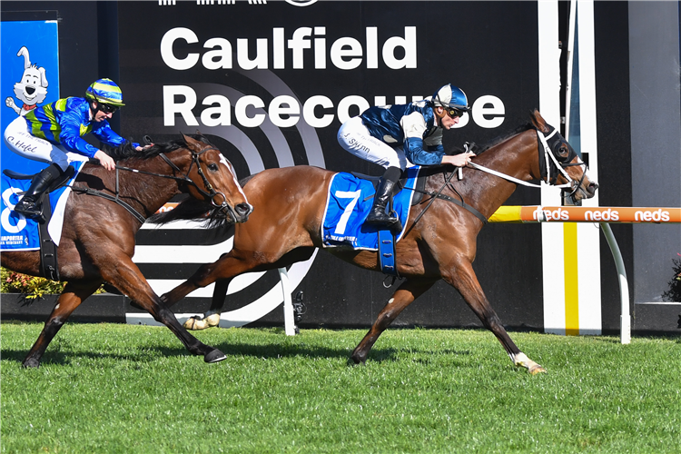 First of the Spring Cups will be a big Caulfield Cup Day