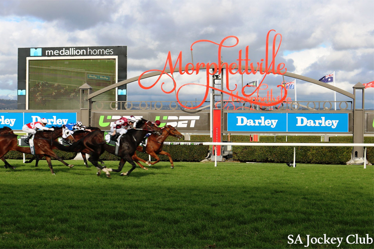 Morphettville Parks Races Review on 28th October 2023