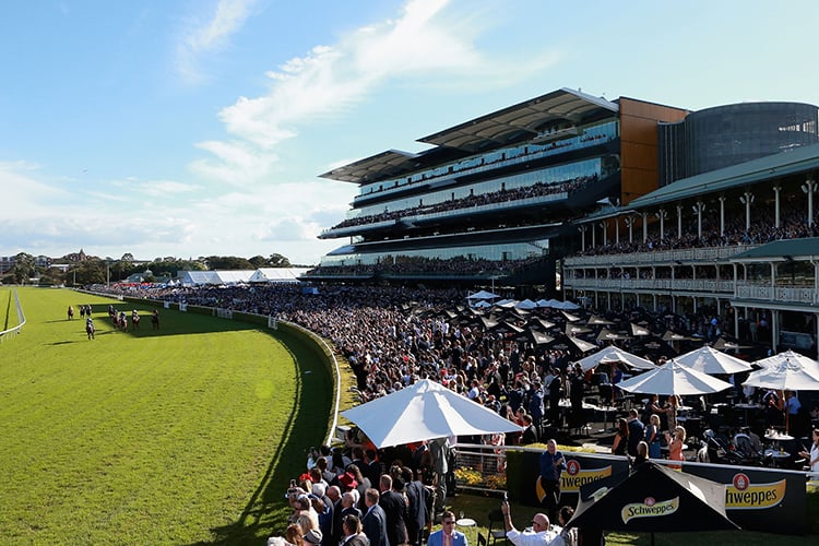 TAB Everest rises to new heights at Royal Randwick