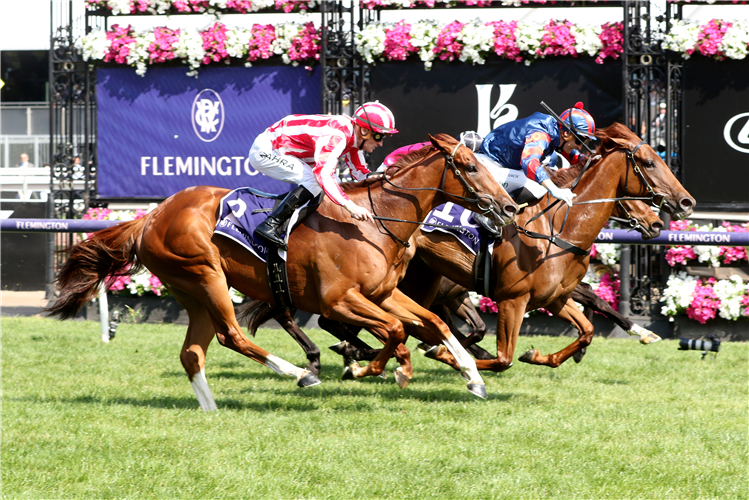 SA horses shine at Flemington on Cup week