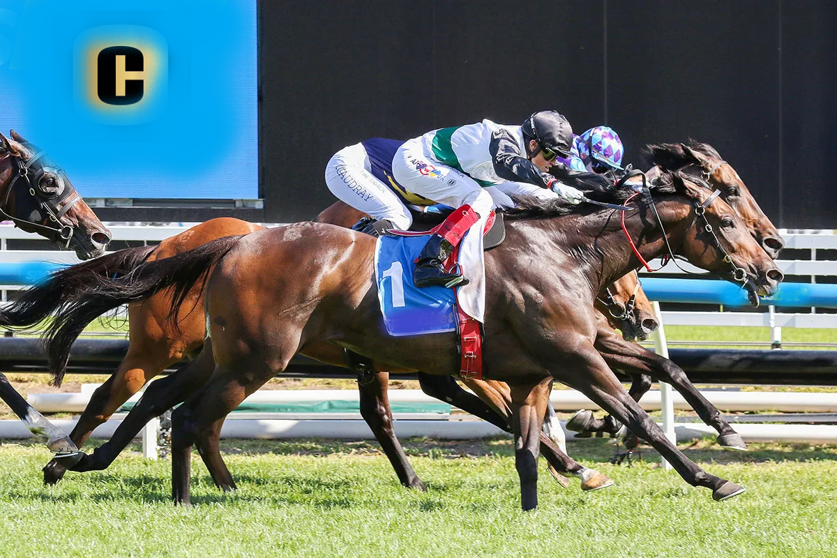 Mr. Brightside Triumphs in Caulfield’s CF Orr Stakes: A Resilient Victory