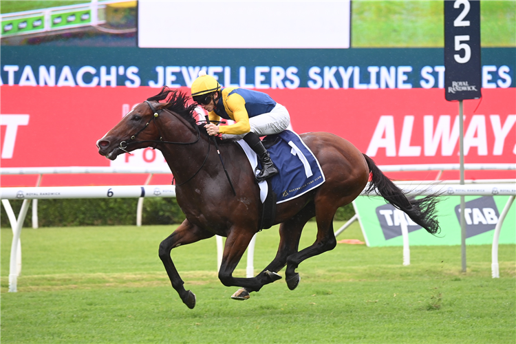 Storm Boy dazzles again to romp home with Skyline!