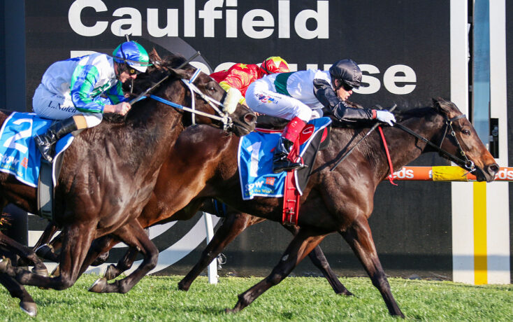 All-Star Mile Promises a Tight Race at Caulfield