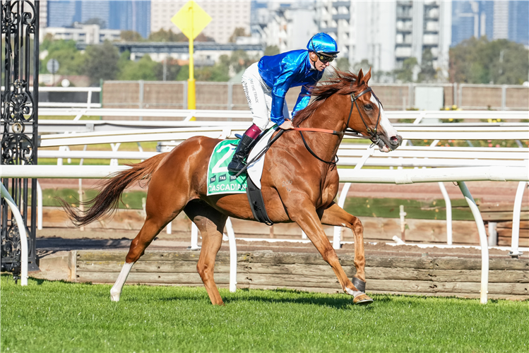 Cascadian Claims Back-to-Back Australian Cup Victory