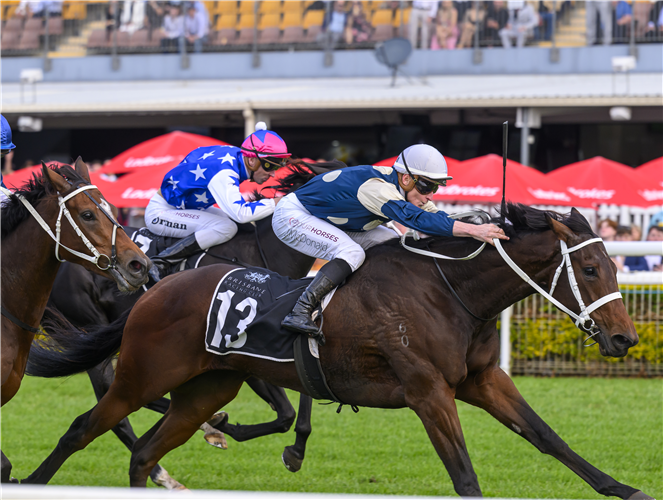 The 2024 Queensland Oaks preview