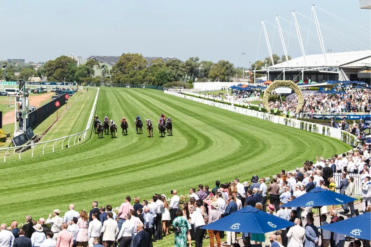 Rosehill Golden Rose Day: Full 10-Race Card Preview