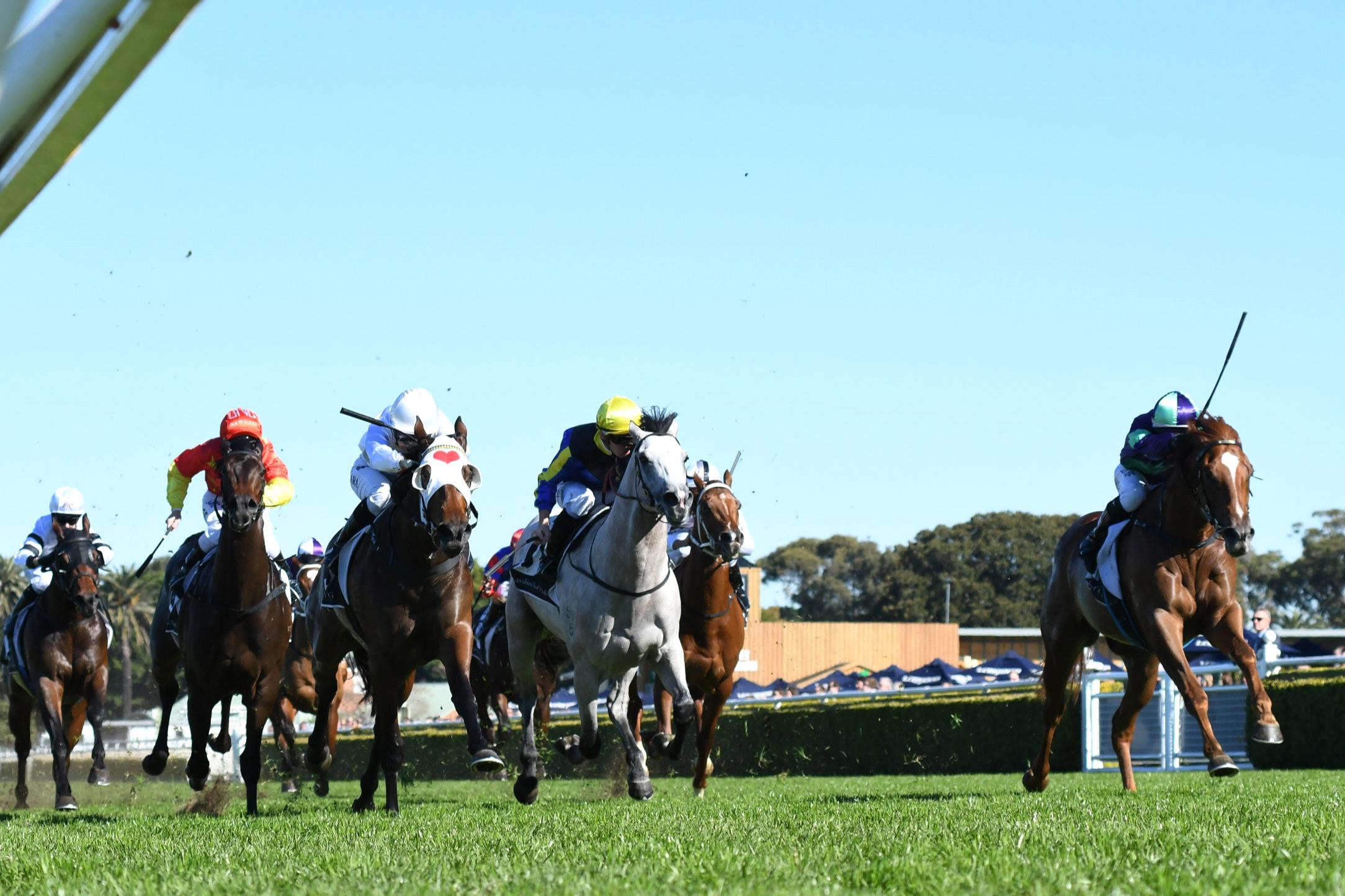 The Everest. The Caulfield Cup. One Colossal Day of Group 1 Glory.
