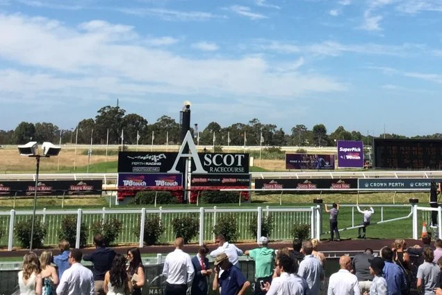 From Coast to Coast: Northerly Stakes Day Sets the Tempo