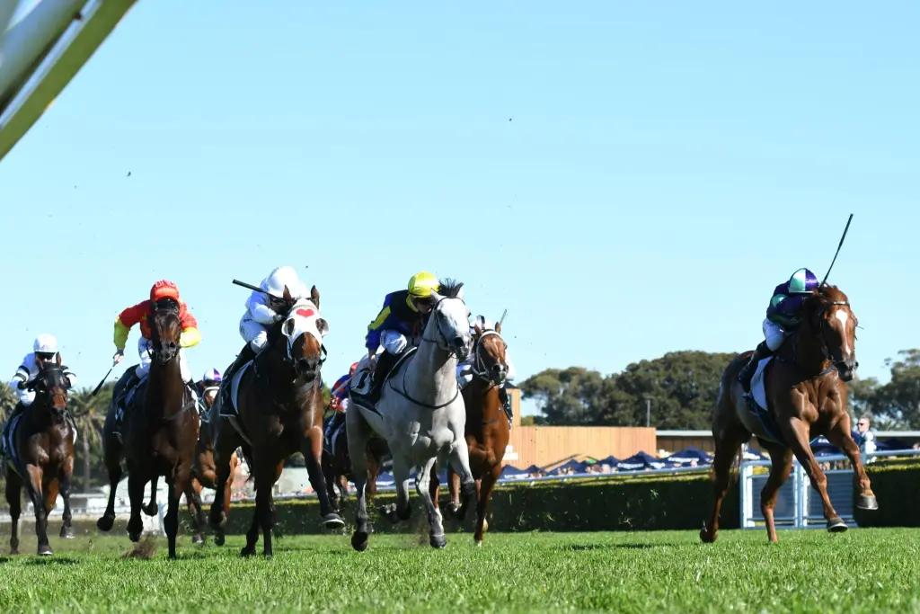 Across the Cards: Morphettville, Eagle Farm & Hawkesbury Preview