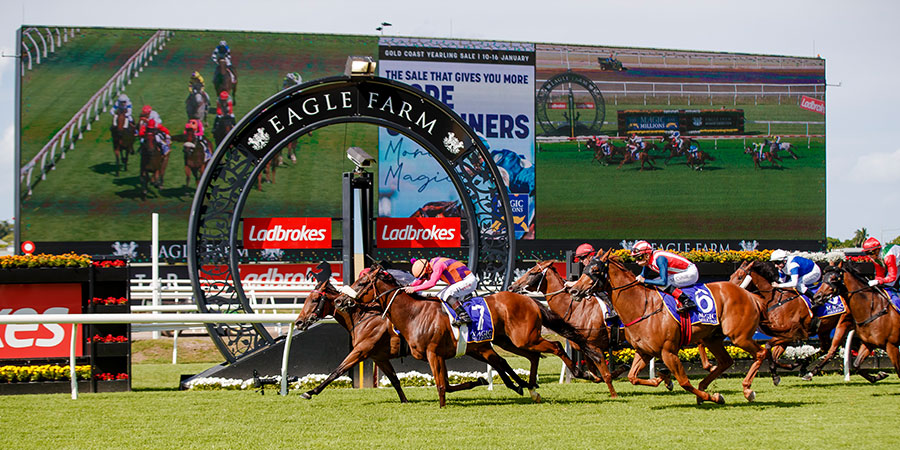 Derby Dreams & Stradbroke Paths: Eagle Farm Preview