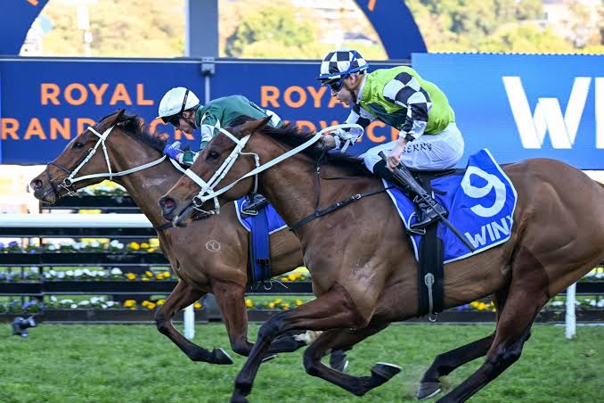Spring Opens Here: Randwick & Sandown Hillside Preview